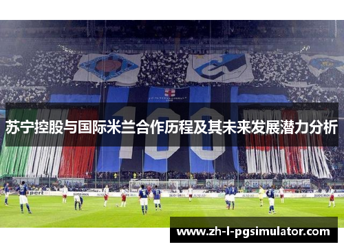 苏宁控股与国际米兰合作历程及其未来发展潜力分析