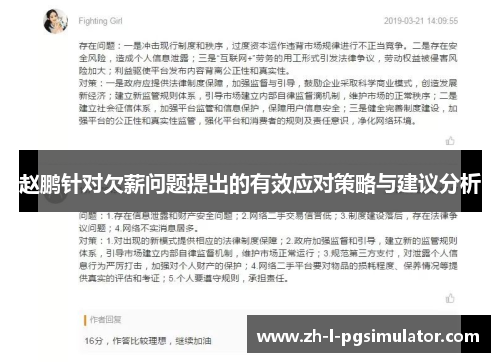 赵鹏针对欠薪问题提出的有效应对策略与建议分析